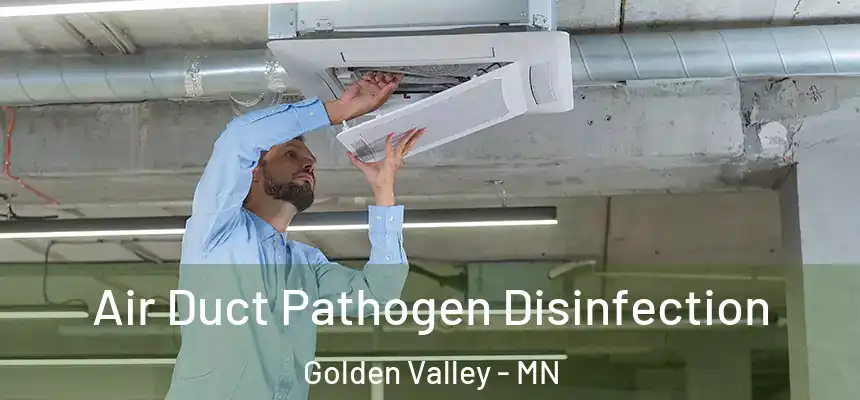 Air Duct Pathogen Disinfection Golden Valley - MN