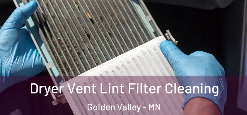  Dryer Vent Lint Filter Cleaning Golden Valley - MN