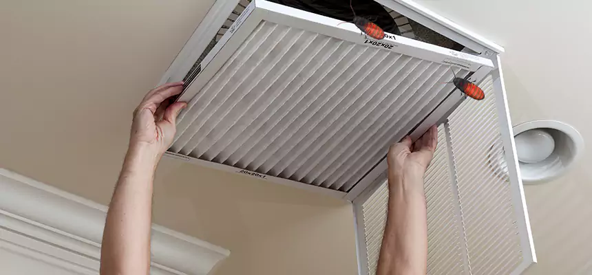 Preventive Cockroach-Proofing for Ducts in Golden Valley