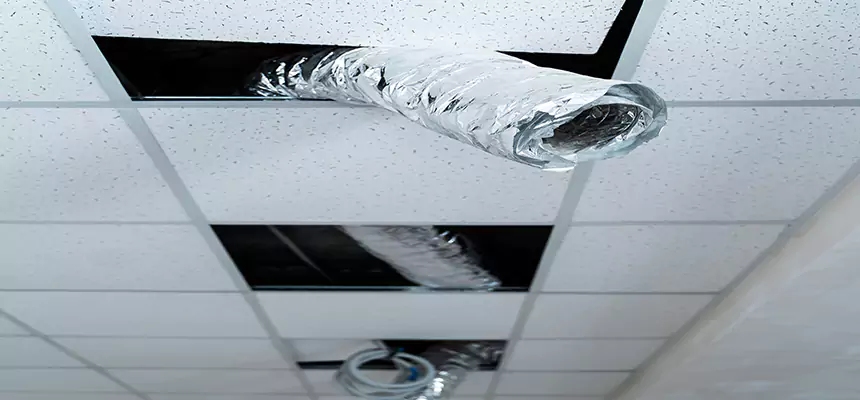 Affordable HVAC Sanitizing After Pest Removal in Golden Valley