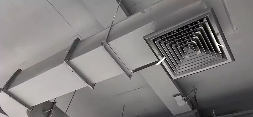 Restorative Allergy Relief Vent Cleaning – Coil, Blower & Housing Detail in Golden Valley