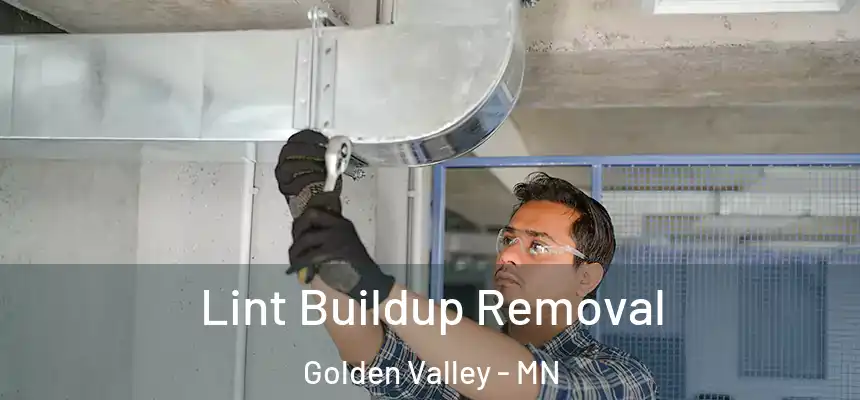 Lint Buildup Removal Golden Valley - MN