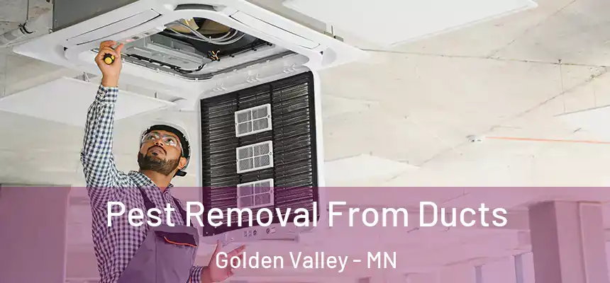  Pest Removal From Ducts Golden Valley - MN
