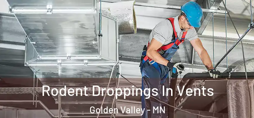  Rodent Droppings In Vents Golden Valley - MN