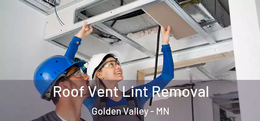  Roof Vent Lint Removal Golden Valley - MN