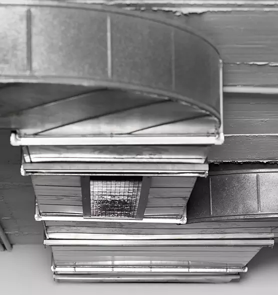 Professional Air Duct Pet Hair Removal in Golden Valley, MN