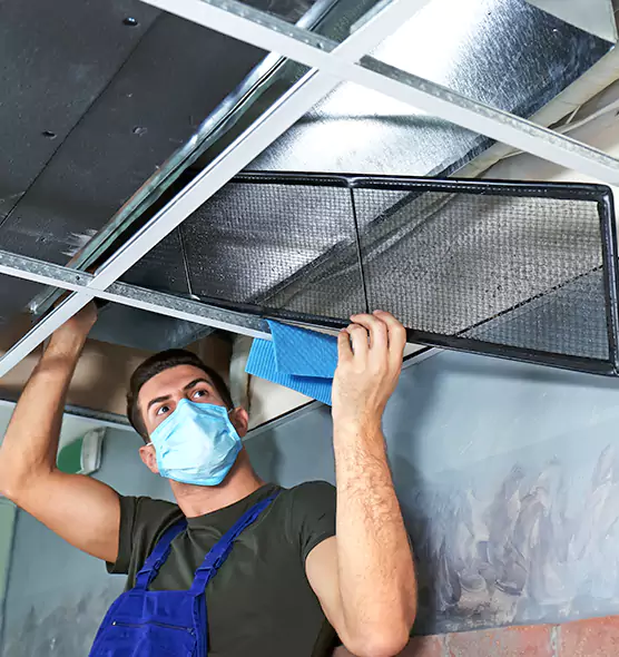 Professional Air Duct Pollen Cleaning in Golden Valley, MN