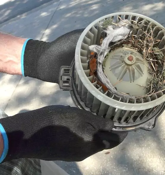 About Air Duct Rat Removal in Golden Valley, MN