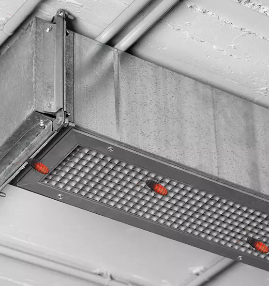 Affordable Insect Removal from Air Ducts in Golden Valley, MN